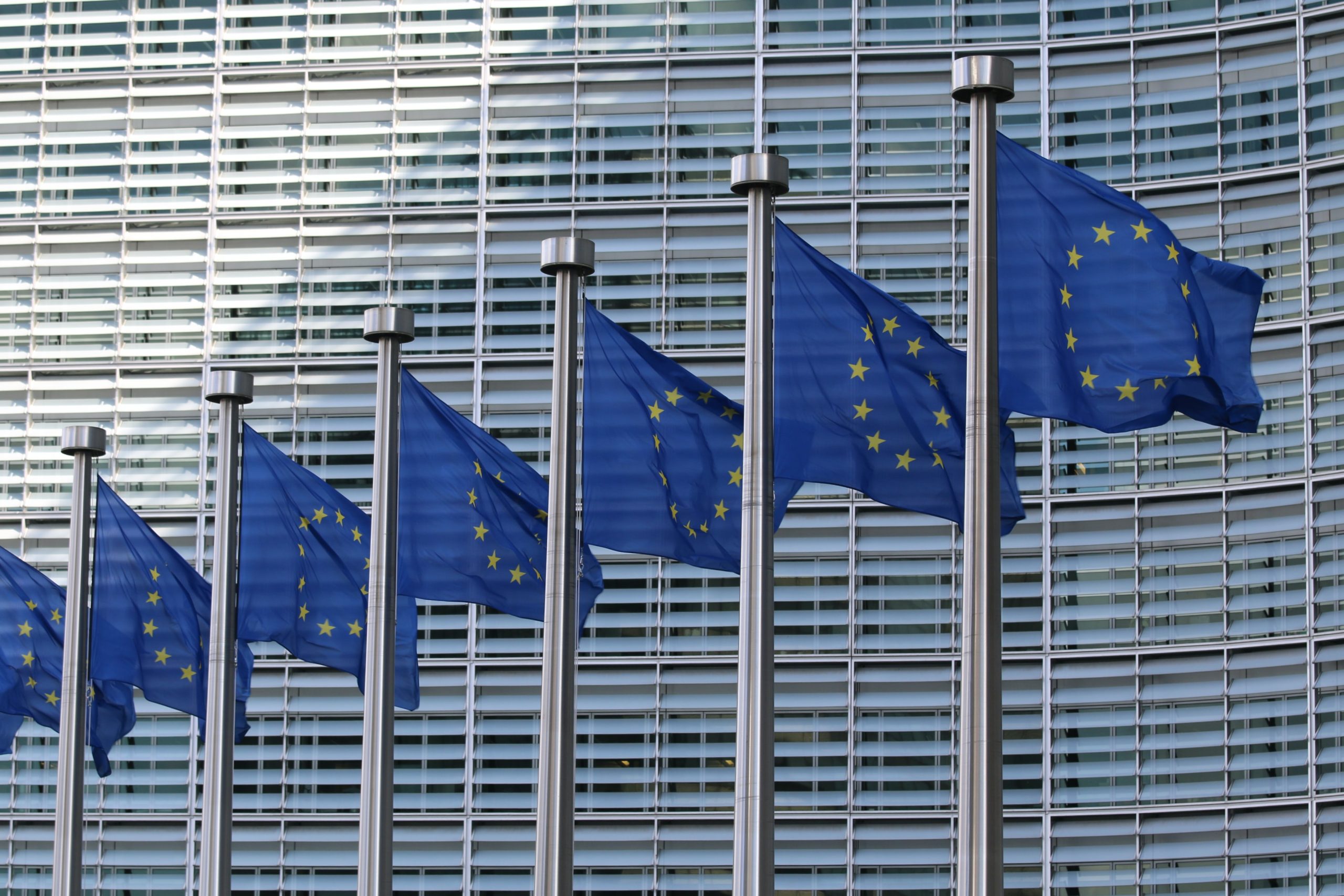 6613-drapeauunioneuropeenne.jpg